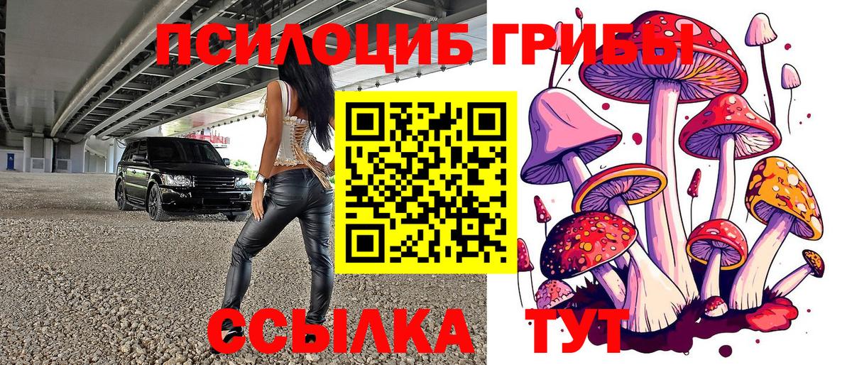 Железногорск  Псилоцибиновые грибы прущие грибы  Вход с VPN  Псилоцибиновые грибы MAGIC MUSHROOMS 