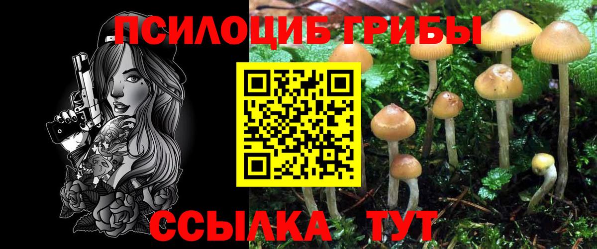 Галлюциногенные грибы мицелий Железногорск