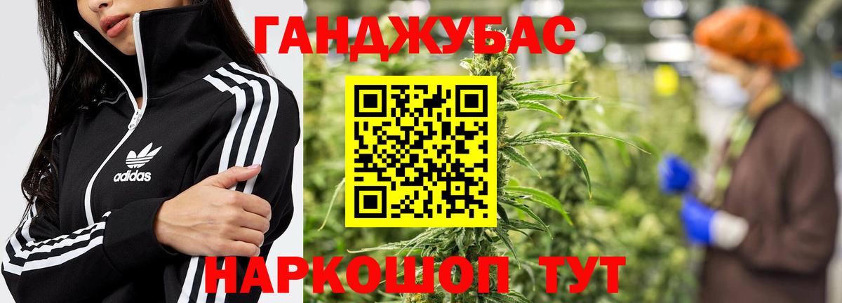 Шишки марихуана марихуана Железногорск